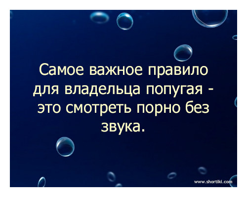 Айдаприкол порно фото