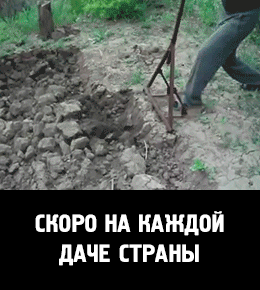 Мой огород приколы Мой огород приколы