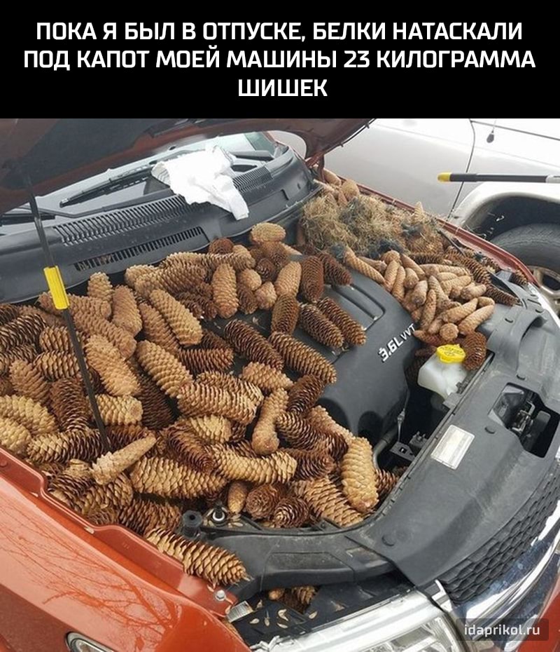 e3d2497b94dfcd77e70a5440e7ae0a283751290f