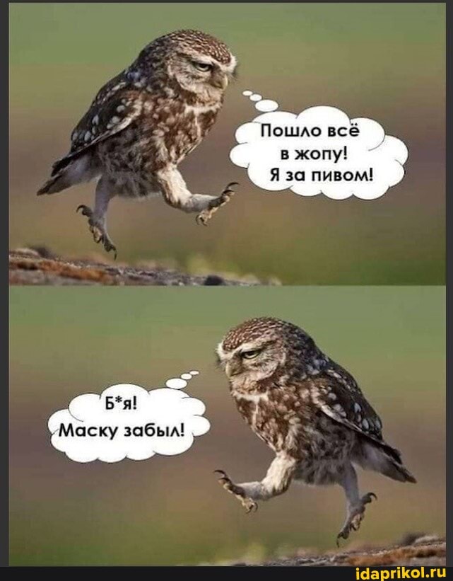 🖼