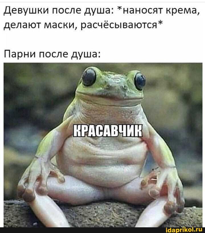 🖼