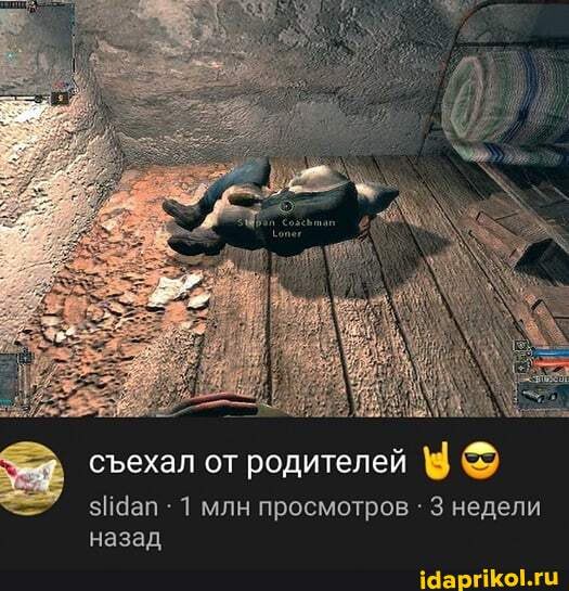 СЪехал от родителей
1 млн просмотров 3 недели назал