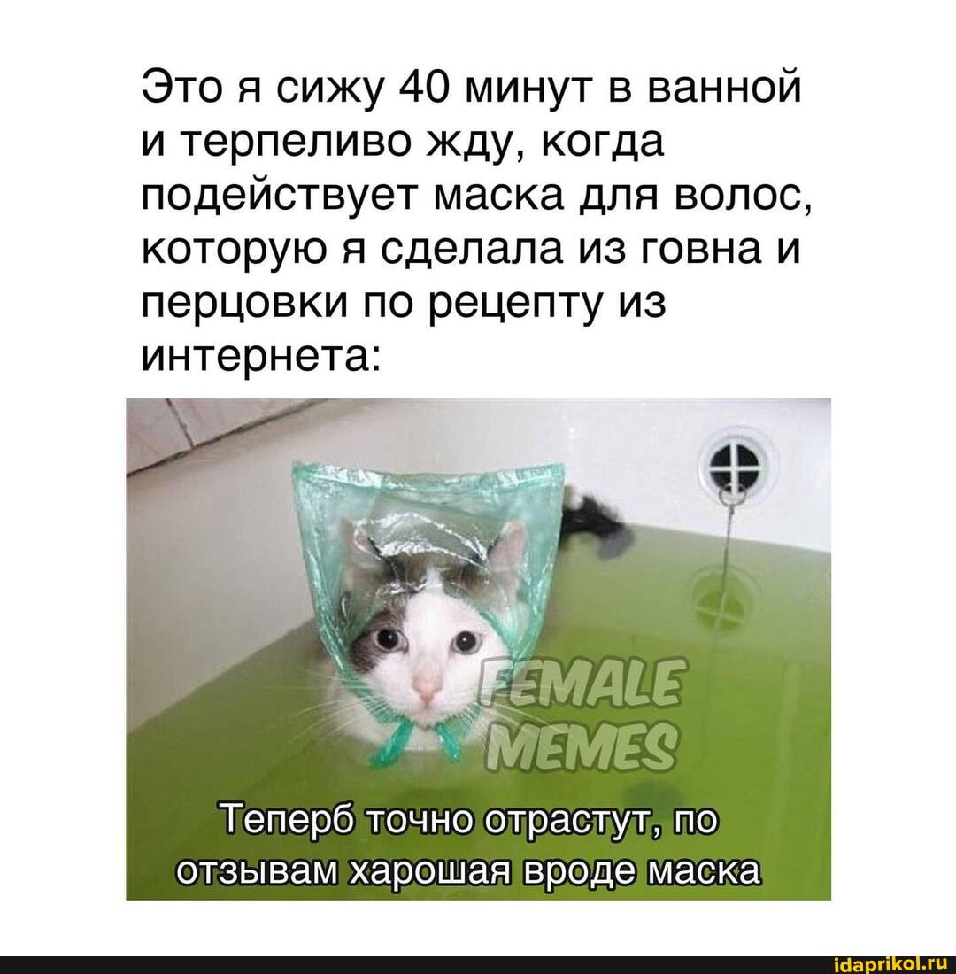 Это я сижу 40 минут в ванной и терпеливо жду, когда подействует маска для волос, которую я сделала из говна и перцовки по рецепту из интернета:
Теперб точно отрастут. по отзывам харошая вроде маска