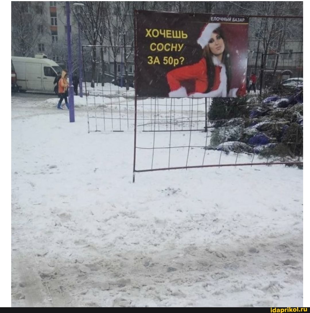 ЕЛОЧНЫЙ БАЗАР
ХОЧЕШЬ СОСНУ
ЗА