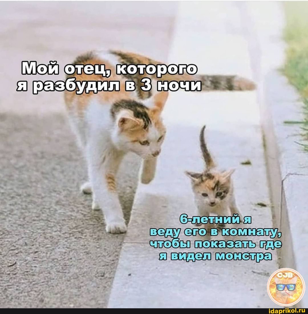 Мой отец, которого я разбудил в 3 ночи
- /2