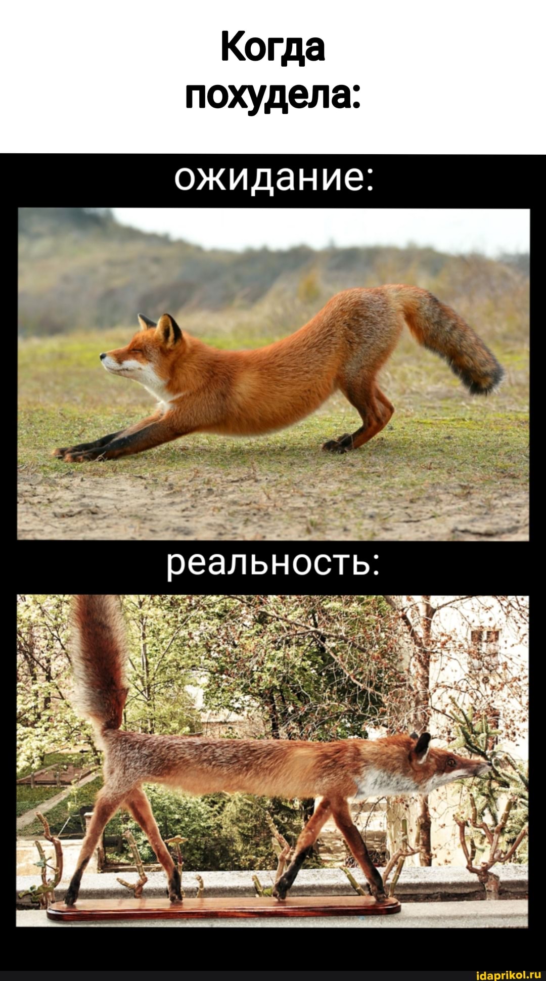 Когда похудела:
ожидание:
реальность: