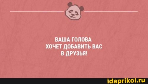 ВАША ГОЛОВА ХОЧЕТ ДОБАВИТЬ ВАС ДРУЗЬЯ!