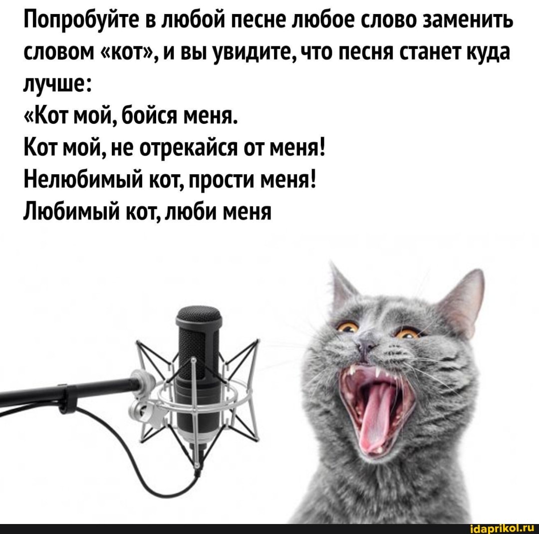 Попробуйте в любой песне любое слово заменить словом "кот", и вы увидите, что песня станет куда
лучше:
"Кот мой, бойся меня.
Кот мой, не отрекайся от меня!
Нелюбимый кот, прости меня!
Любимый кот, люби меня