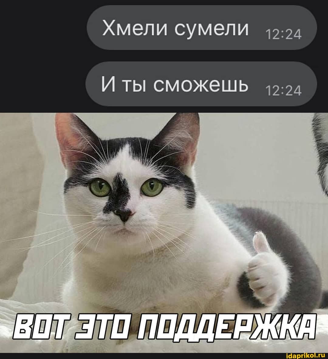 Хмели сумели
ты сможешь
.ВОТ ЭТО ПОДДЕРЖКА*