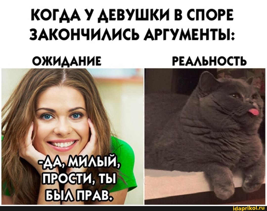 КОГАА У ДЕВУШКИ В СПОРЕ
ЗАКОНЧИЛИСЬ АРГУМЕНТЫ:
ОЖИААНИЕ
РЕАЛЬНОСТЬ
-АА, МИЛЫЙ,
ПРОСТИ, ТЫ БЫЛ ПРАВ.