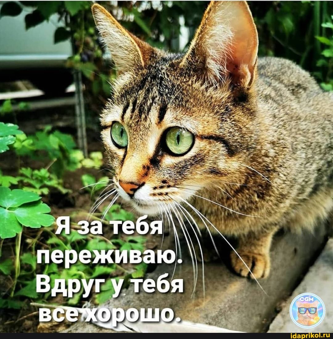 Я за тебя переживаю.
Вдругу тебя