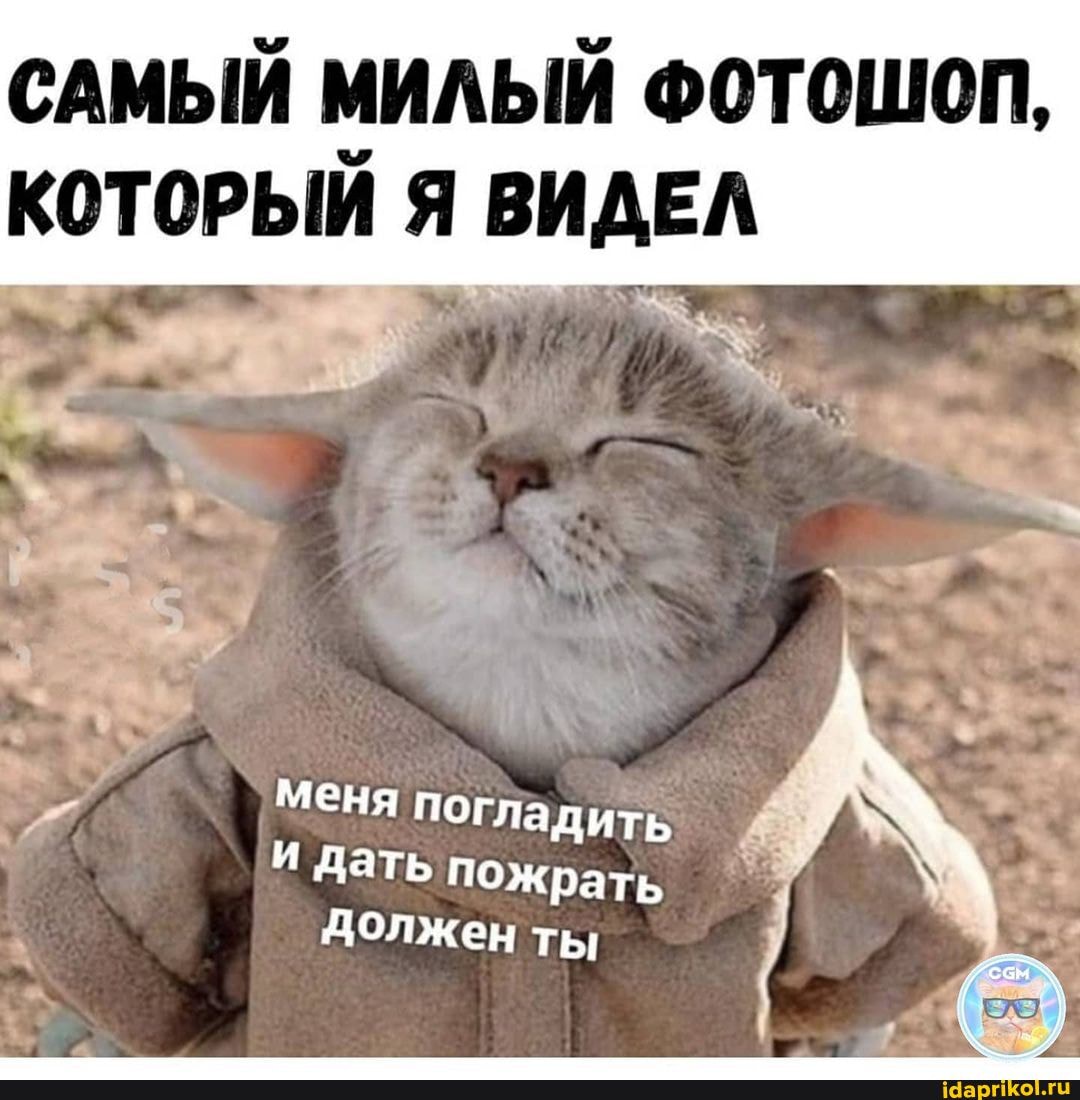 САМЫЙ МИЛЫЙ ФОТОШОП,
ЫЙ ВИ
Меня погладить
И дать пожрать должен ты