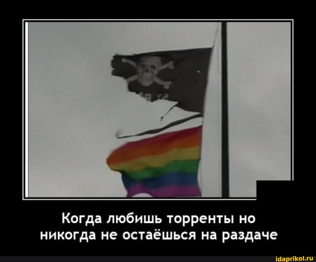 Когда любишь торренты но никогда не остаёшься на раздаче