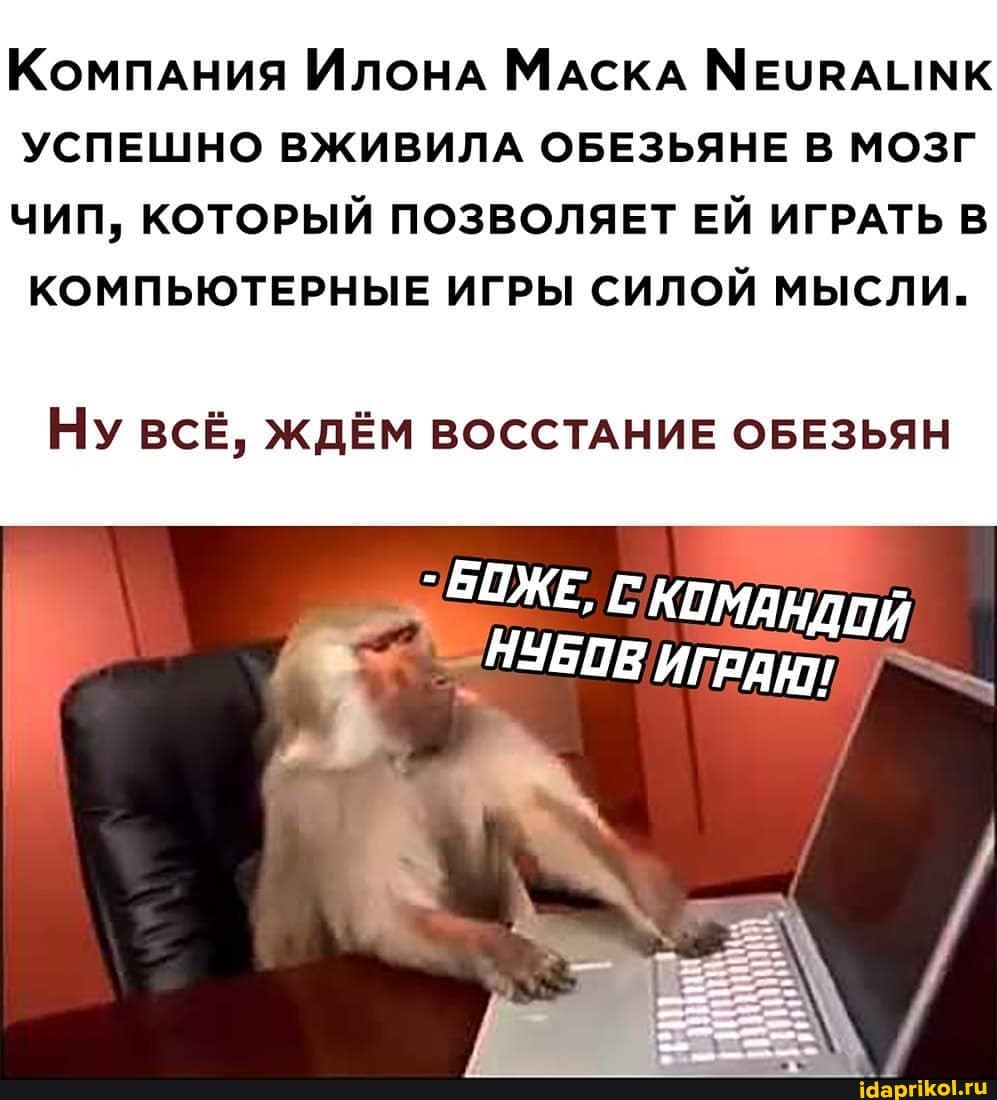 Компания Илонд МАСКА МЕУРАНМК УСПЕШНО ВЖИВИЛА ОБЕЗЬЯНЕ В МОЗГ ЧИП, КОТОРЫЙ ПОЗВОЛЯЕТ ЕЙ ИГРАТЬ В КОМПЬЮТЕРНЫЕ ИГРЫ СИЛОЙ МЫСЛИ.
Ну всЁ, ЖДЁМ ВОССТАНИЕ ОБЕЗЬЯН