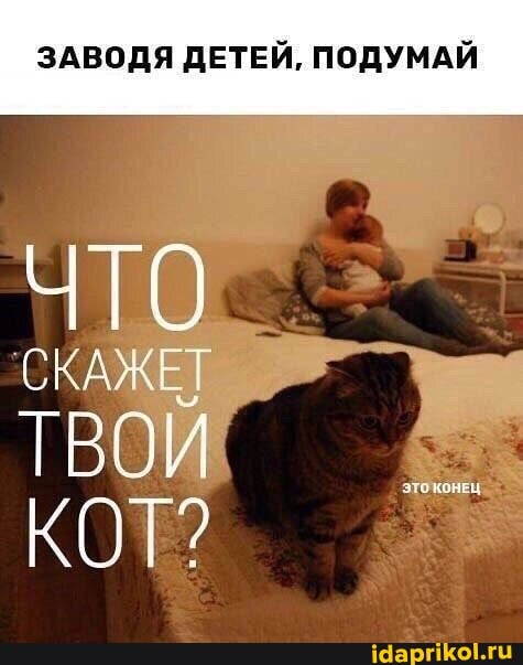 ЗАВОДЯ ДЕТЕЙ, ПОДУМАЙ
СКАЖЕТ
ТВОЙ
КОТ?