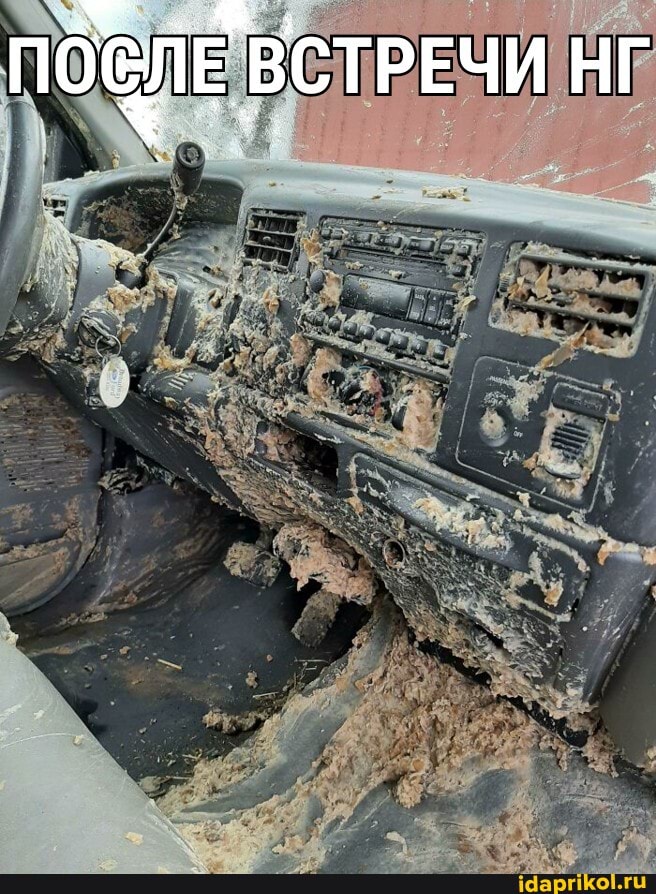 ПОЛЕ ВСТРЕЧИ НГ