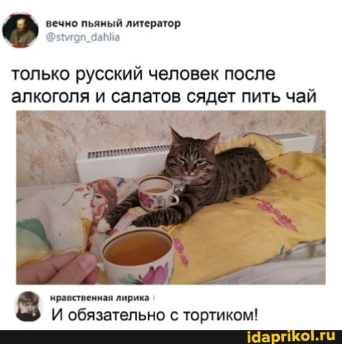 вечно пьяный литератор
только русский человек после алкоголя и салатов сядет пить чай
нравственная лирика
И обязательно с тортиком!