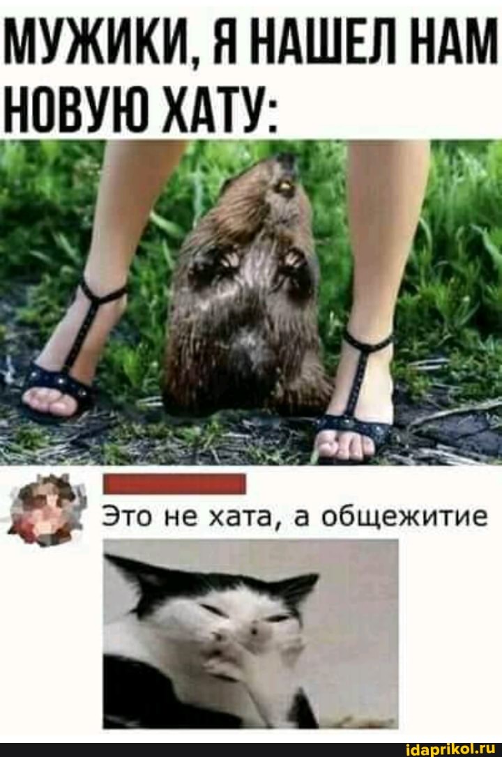 МУЖИКИ, Я НАШЕЛ НАМ НОВУЮ ХАТУ:
Это не хата, а общежитие