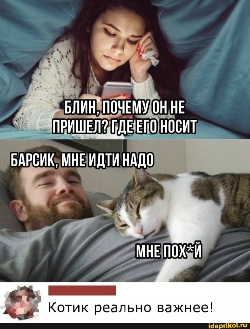 БЛИН, ПОЧЕМУ ОН НЕ ПРИШЕЛ? ГДЕ ЕГО НОСИТ
БАРСИК, МНЕ ИДТИ НАДО
МНЕ ПОХ*Й
Котик реально важнее!