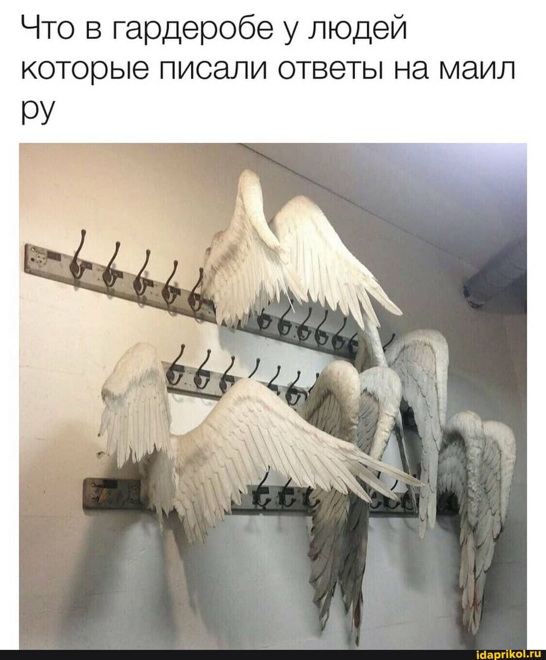 Что в гардеробе у людей которые писали ответы на маил
ру