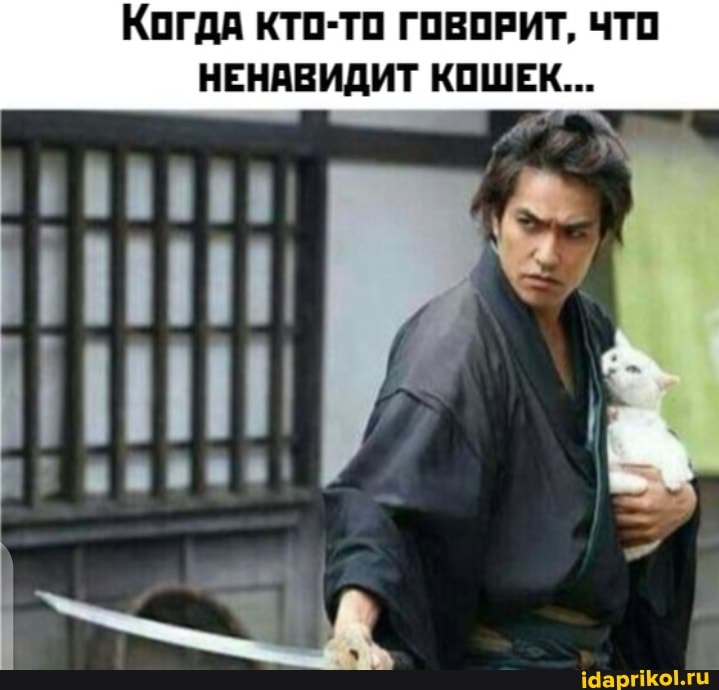 Когда КТО-ТО ГОВОРИТ, ЧТО НЕНАВИДИТ КОШЕК...