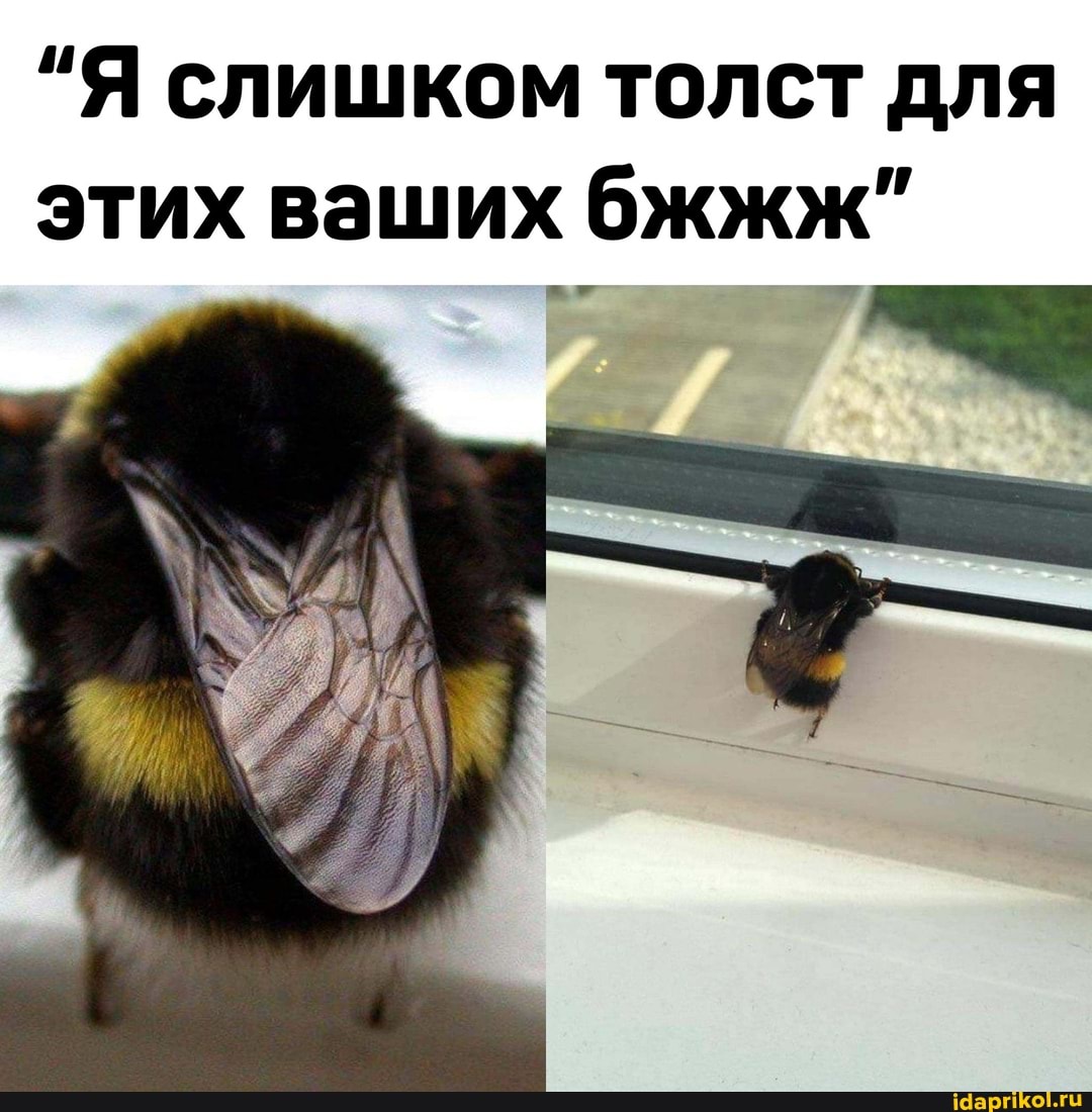 02a7a05bb31f373c9227d7167ad1d0b612d12537