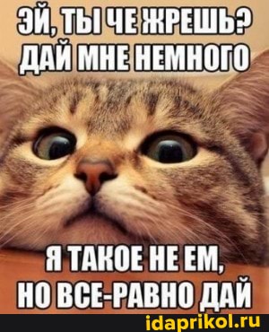 ДАЙ Я ТАКОЕ НЕЕМ,
рог олоцо ПАЙ