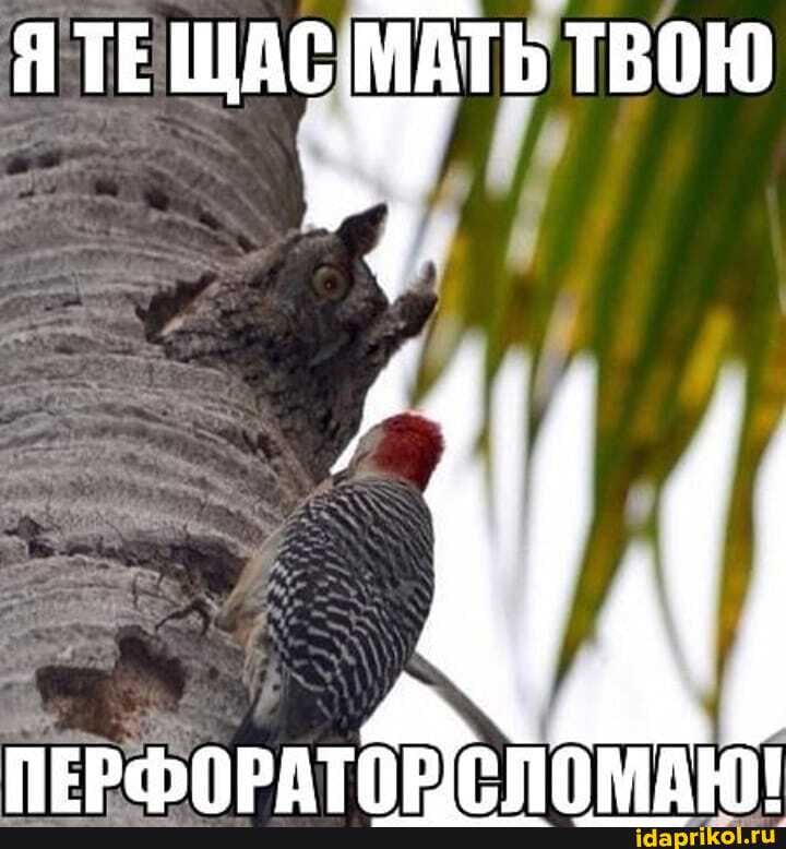 ЯТЕ ЩАС МАТЬ твою