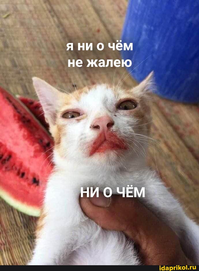 я ни о чём не жалею
НИ ЧЁМ
