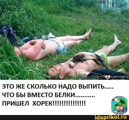 ЭТО ЖЕ СКОЛЬКО НАДО ВЫПИТЬ.
ЧТО БЫ ВМЕСТО БЕЛКИ ПРИШЕЛ ХОРЕК!!!!!!!!!!!!!!!