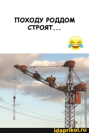 ПОХОДУ РОДДОМ СТРОЯТ...