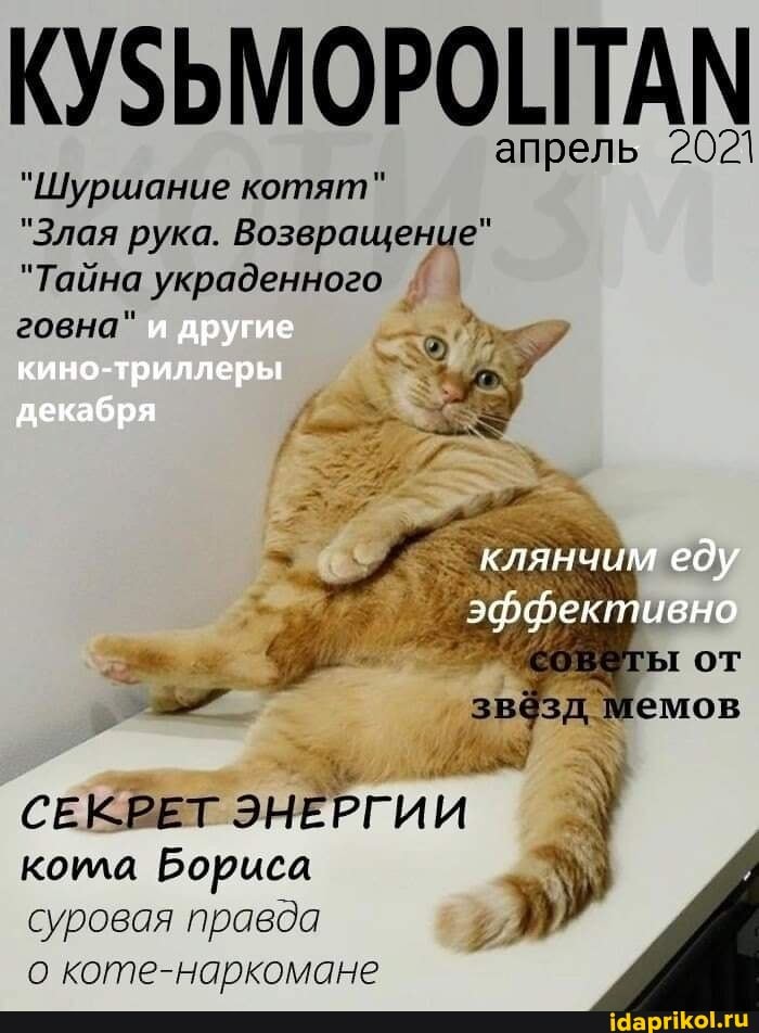 апрель 2021
апрель 2021
клянчим еду
эффективно
"Шуршание котят"
"Злая рука. Возвращение"
"Тайна украденного
другие
кино-триллеры
декабря
говна"
СЕКРЕТ ЭНЕРГИИ кола Бориса суровая правда о коте-наркомане