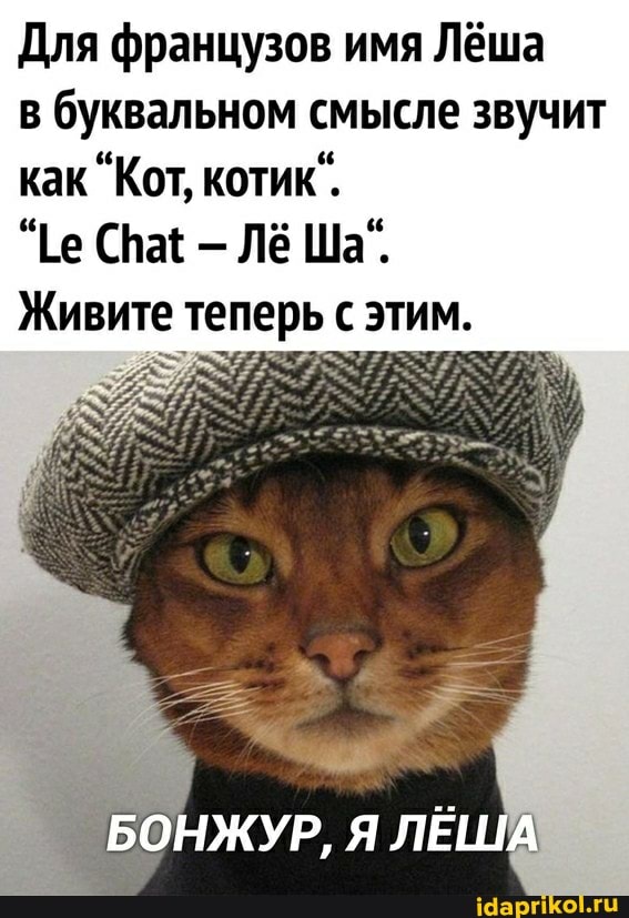 Для французов имя Лёша
в буквальном смысле звучит как "Кот, котик".
"Ее СпаЕ - Лё Ша".
Живите теперь с этим.
БОНЖУР, ЛЕША