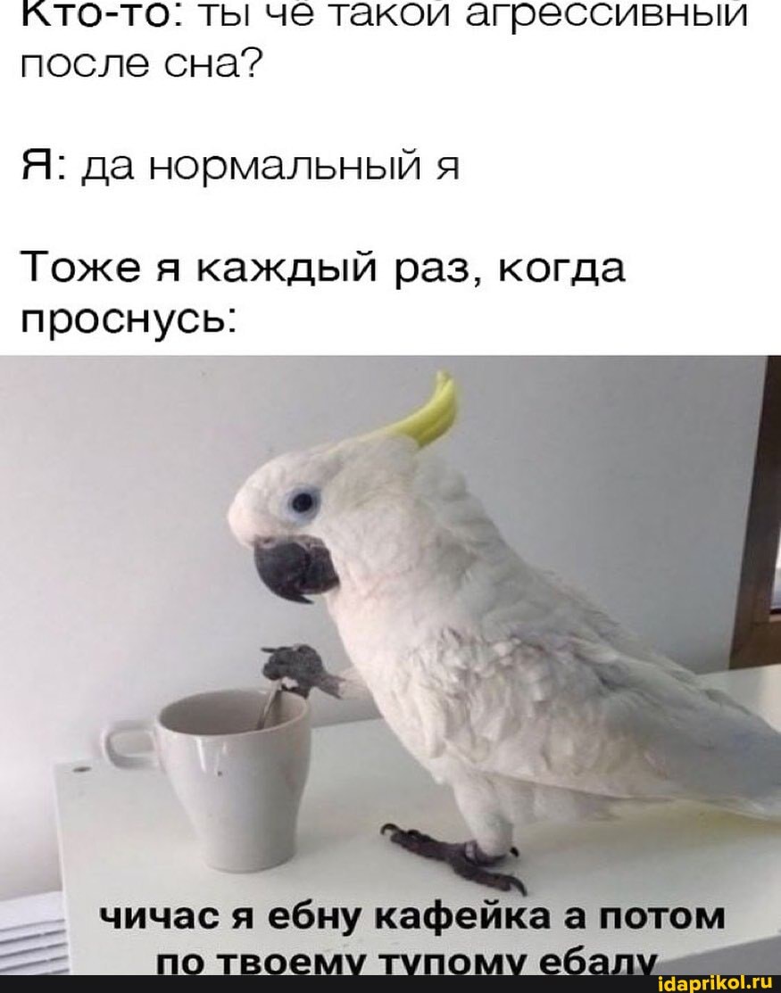кто-то: ты че такой агрессивныи после сна?
Я: да нормальный я
Тоже каждый раз, когда проснусь:
чичас ебну ка