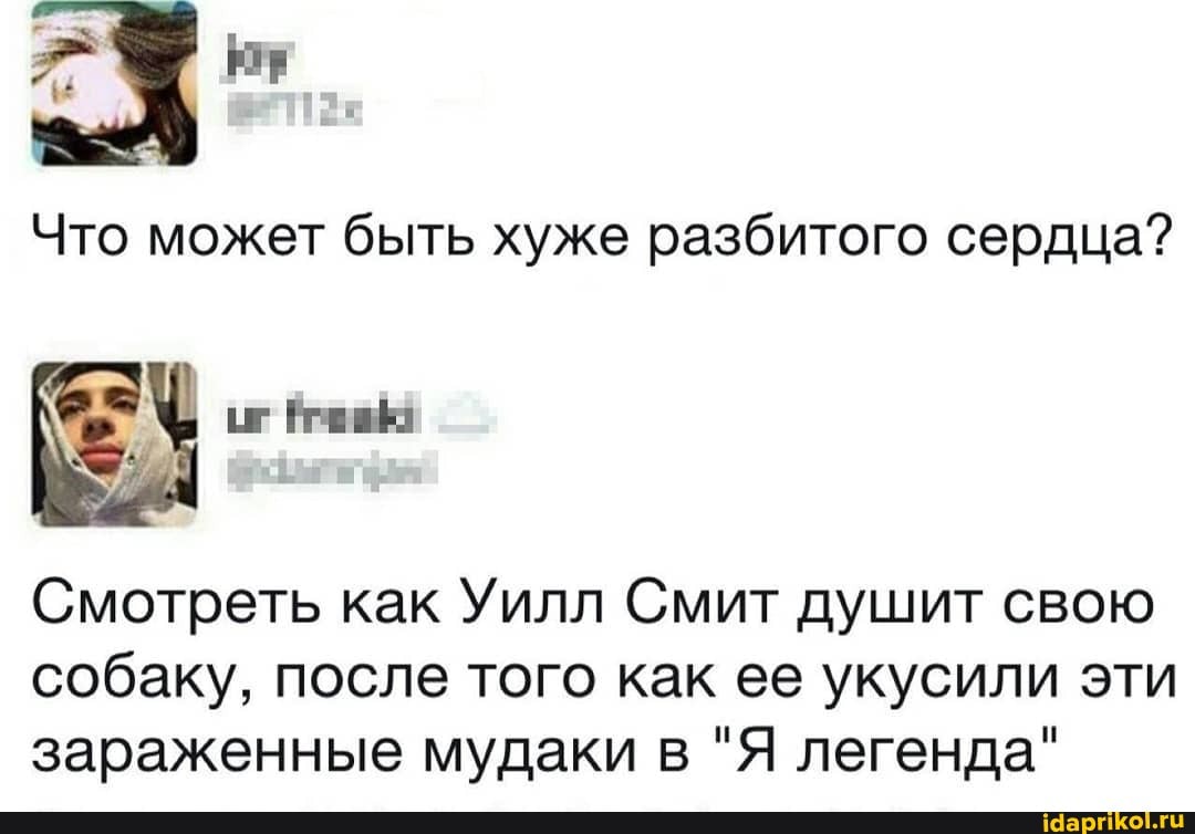 Что может быть хуже разбитого сердца?
Смотреть как Уилл Смит душит свою собаку, после того как ее укусили эти зараженные мудаки в "Я легенда"