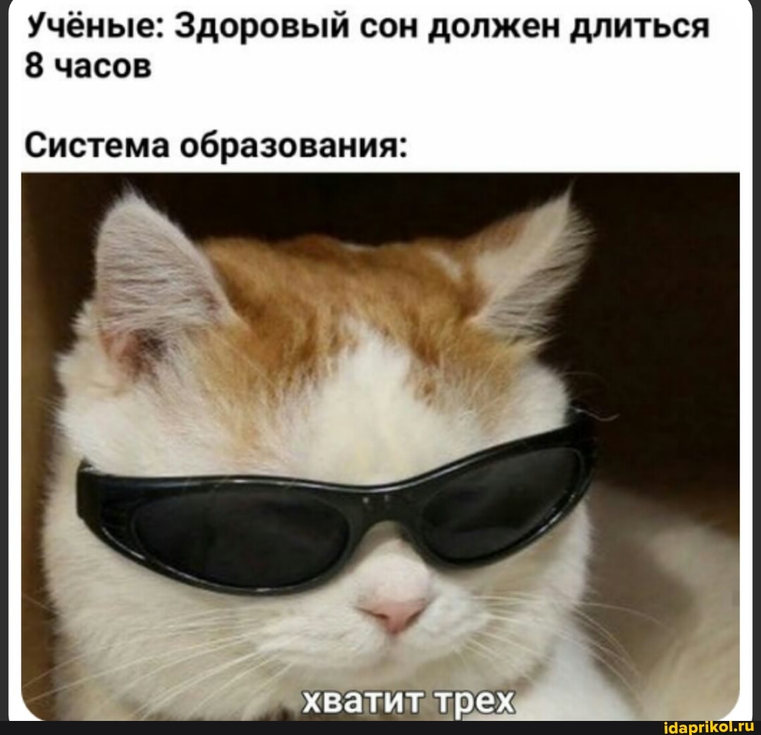 Учёные: Здоровый сон должен длиться
8 часов
Система образования: