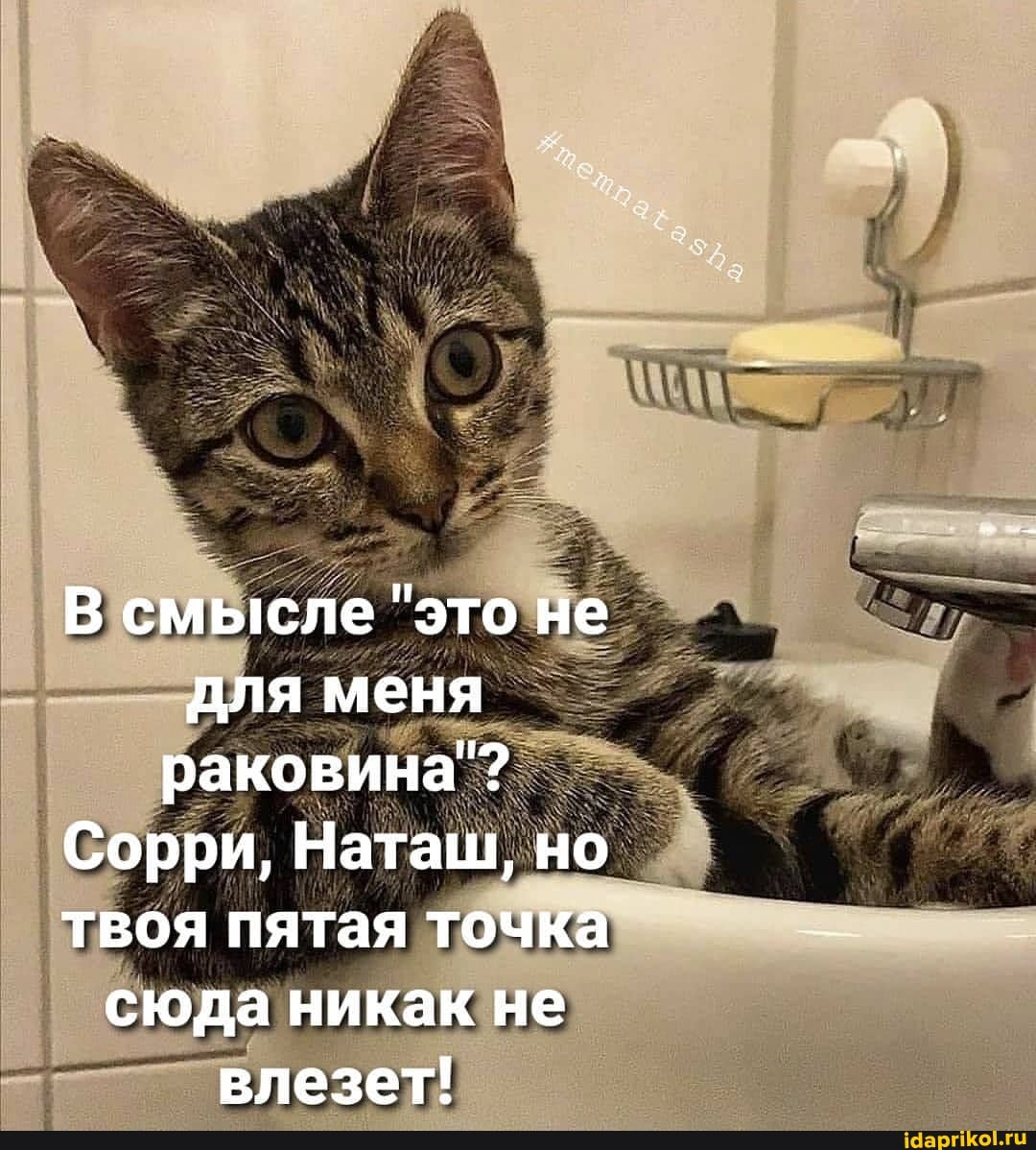 В смысле "это не для меня раковина"?
Сорри, Наташ, но твоя пятая точка сюда никак не влезет!