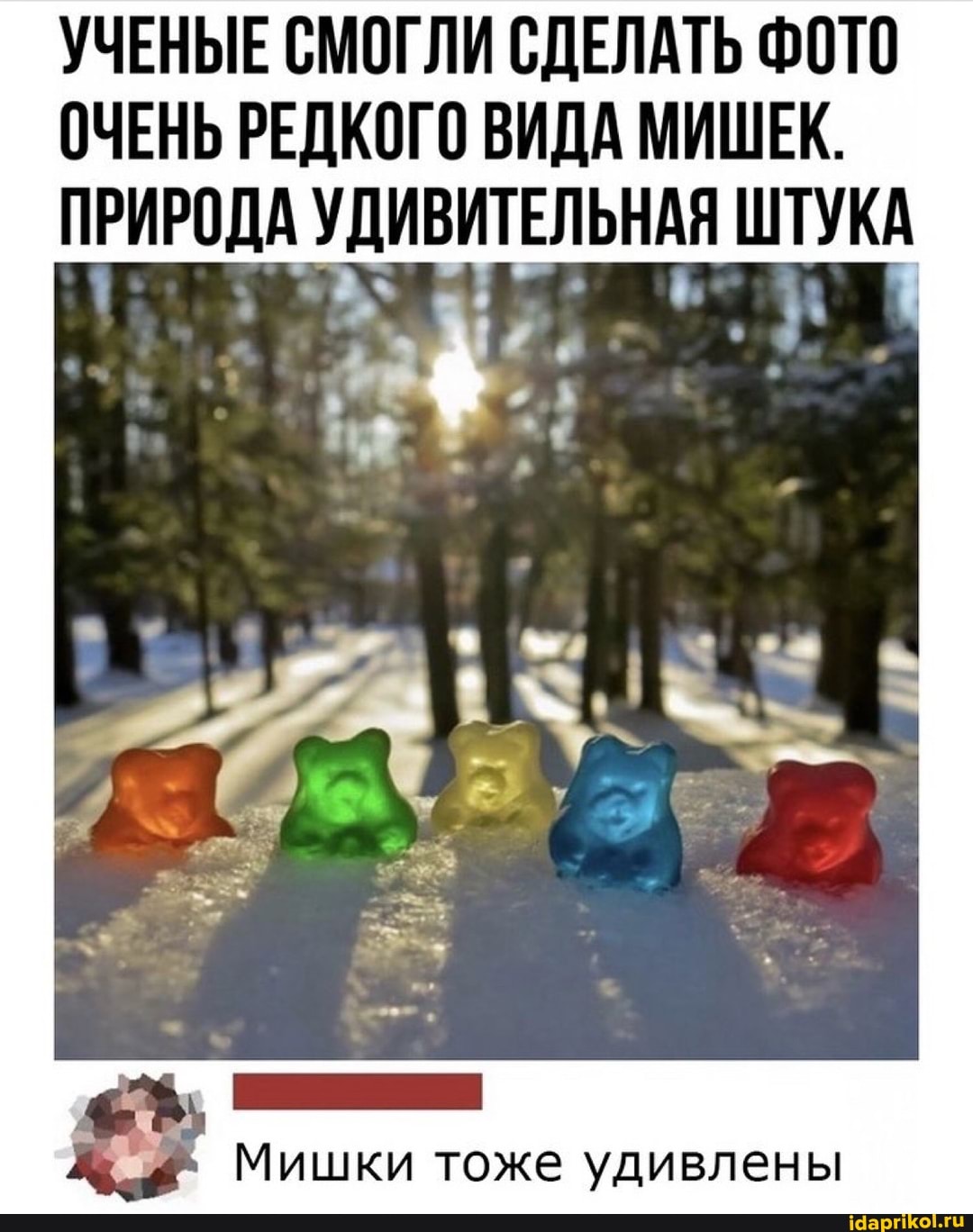 УЧЕНЫЕ СМОГЛИ СДЕЛАТЬ ФОТО ОЧЕНЬ РЕДКОГО ВИДА МИШЕК.
ПРИРОДА УДИВИТЕЛЬНАЯ ШТУКА
Мишки тоже удивлены