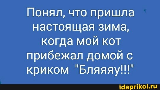 Понял, что пришла настоящая зима, когда мой кот прибежал домой с криком "Бляяяу!!!"