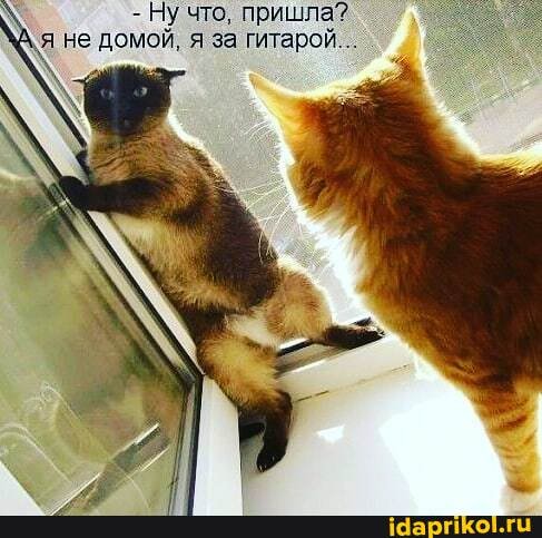 - Ну что, пришла? я не домой, я за гитарой...