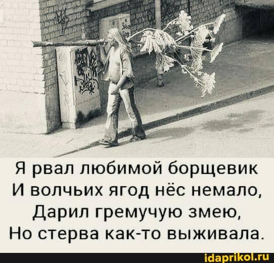 Я рвал любимой борщевик
И волчьих ягод нёс немало,
Дарил гремучую змею,
Но стерва как-то выживала.