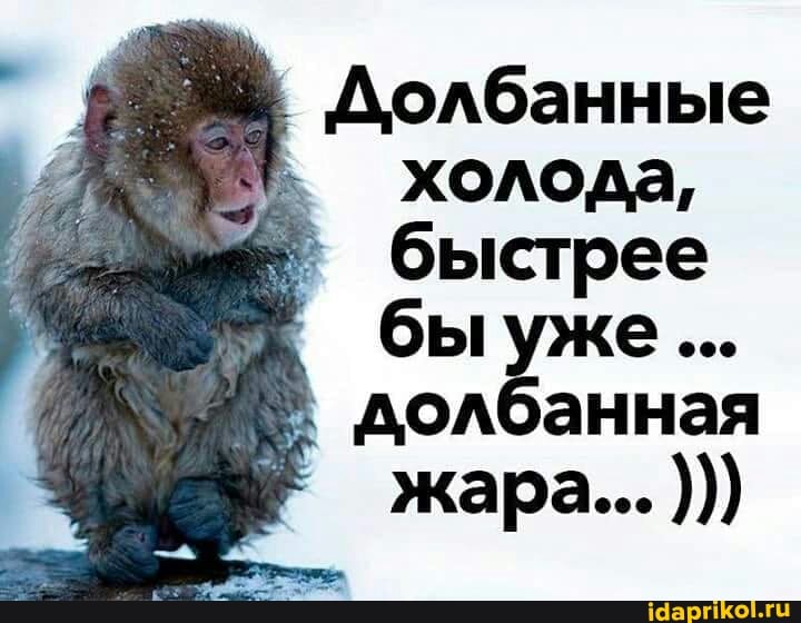 Долбанные холода, быстрее бы уже долбанная жара...
