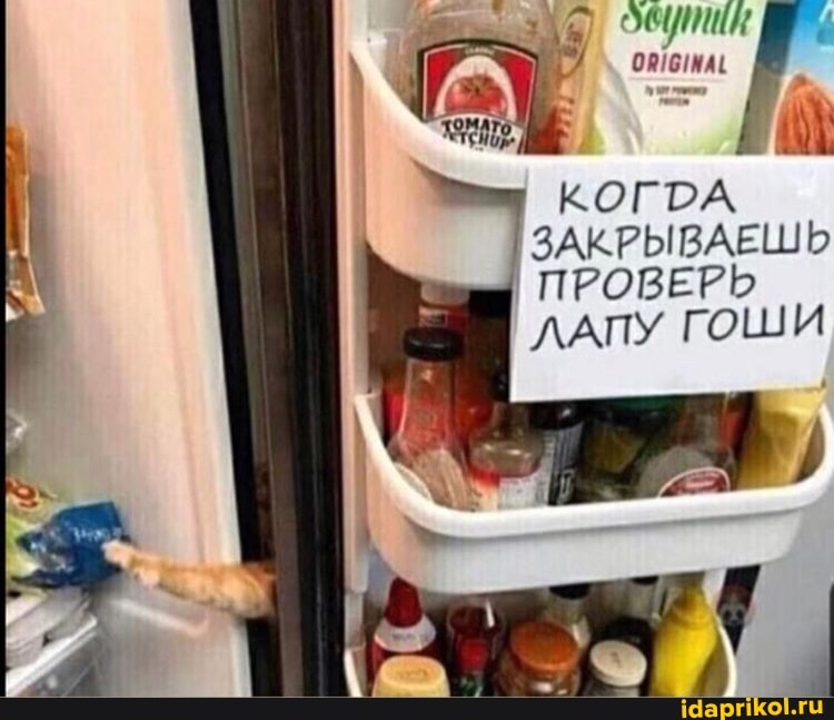 КОГРА ЗАКРЫВАЕШЬ ПРОВЕРЬ ЛАПУ ГОШИ