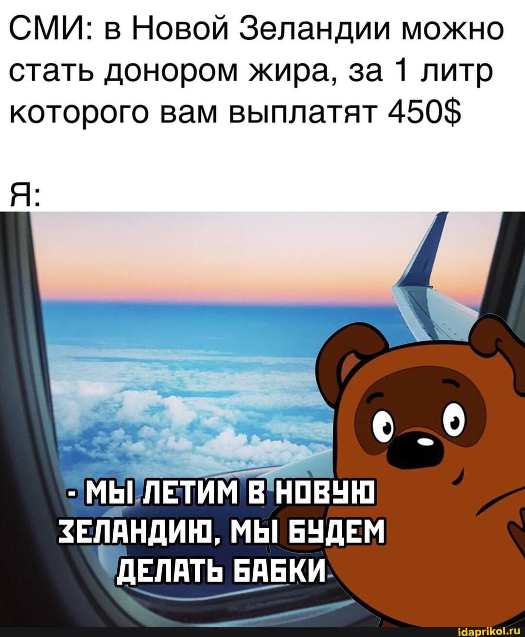 СМИ: в Новой Зеландии можно стать донором жира, за 1 литр
которого вам выплатят 450$
_0
- МЫ ЛЕТИМ В НОВУЮ ЗЕЛАНДИЮ, МЫ БУДЕМ ДЕЛАТЬ БАБКИ