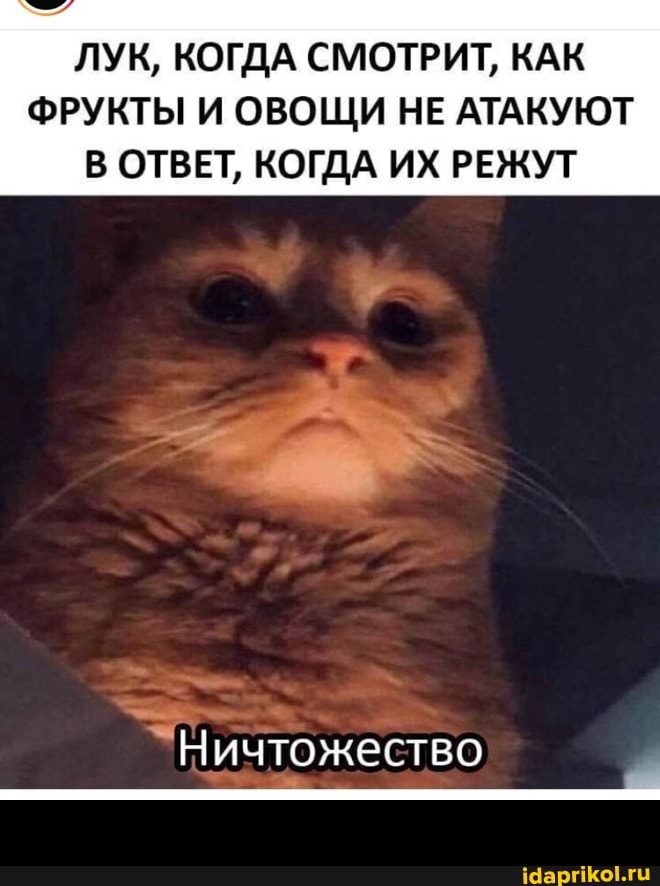 ЛУК, КОГДА СМОТРИТ, КАК
ФРУКТЫ И ОВОЩИ НЕ АТАКУЮТ В ОТВЕТ, КОГДА ИХ РЕЖУТ
"Ничтожество -