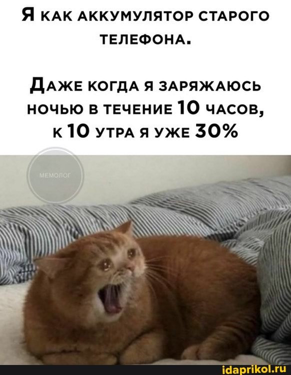 Я КАК АККУМУЛЯТОР СТАРОГО ТЕЛЕФОНА.
ДАЖЕ КОГДА Я ЗАРЯЖАЮСЬ НОЧЬЮ В ТЕЧЕНИЕ 10 ЧАСОВ,
КТО УТРА Я УЖЕ 30%