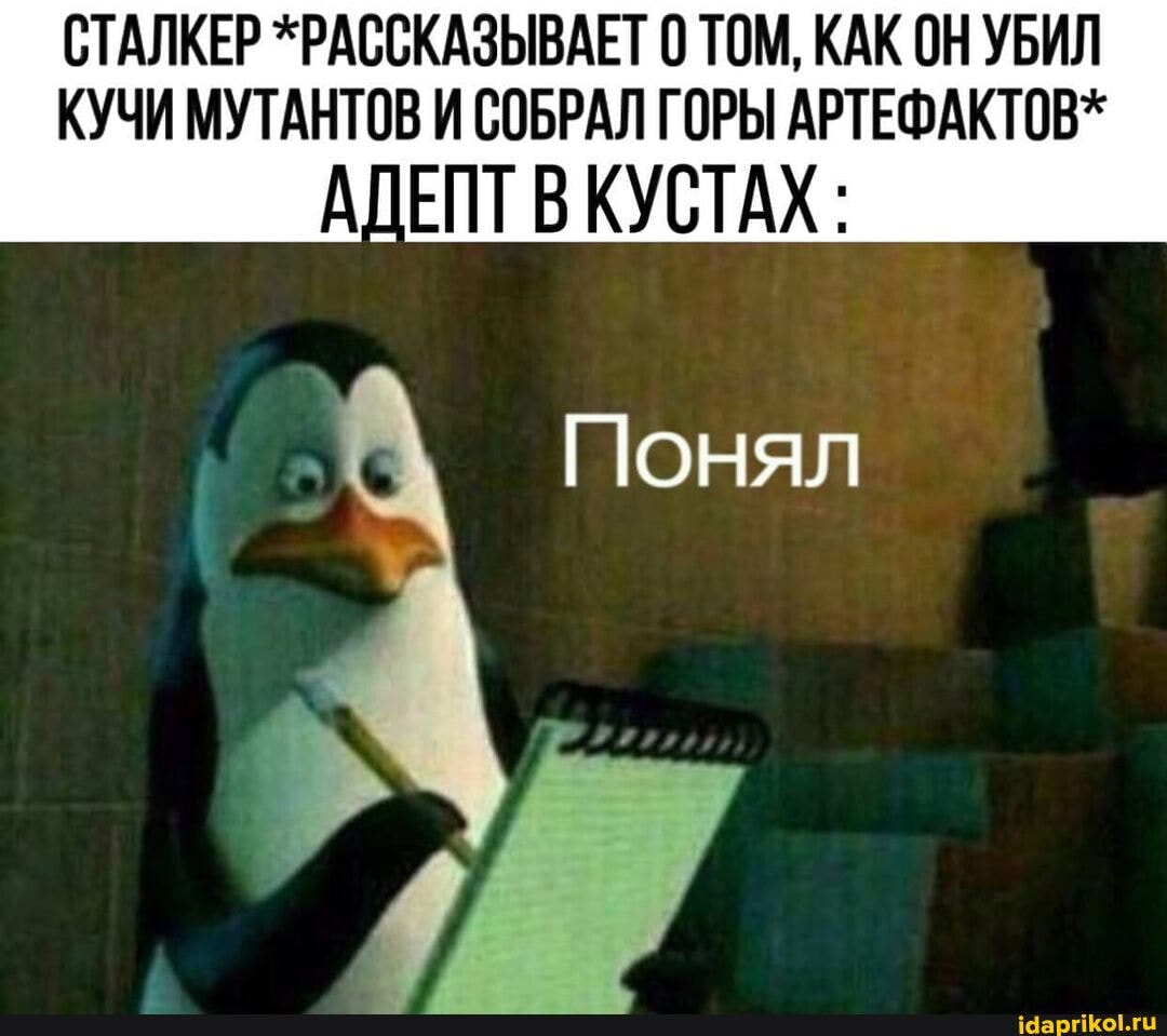 СТАЛКЕР *РАССКАЗЫВАЕТ 0 ТОМ, КАК ОН УБИЛ КУЧИ МУТАНТОВ И СОБРАЛ ГОРЫ АРТЕФАКТОВ*
АДЕПТ В КУСТАХ:
Понял