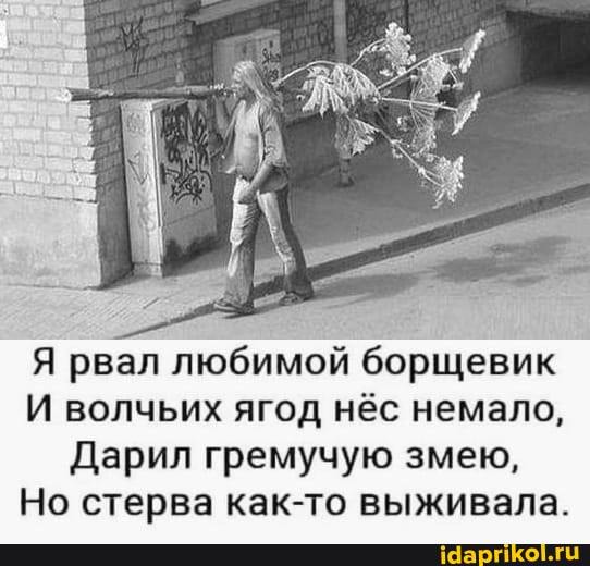 Я рвал любимой борщевик
И волчьих ягод нёс немало,
Дарил гремучую змею,
Но стерва как-то выживала.