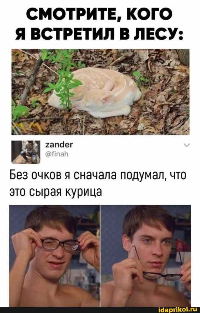 СМОТРИТЕ, КОГО Я ВСТРЕТИЛ В ЛЕСУ:
Без очков я сначала подумал, что это сырая курица