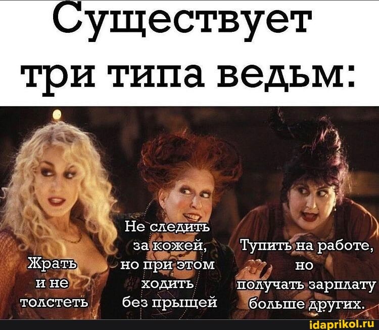 'уществует
три типа ведьм:
Не следить
за кожей, Тупит на работе,
Жрать но при этом но и не ходить получать зарплату
толстеть без прыщей бодыне других.